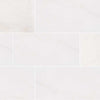 Marble Tile Collection Bianco Dolomite 12"x24" - Polished Swatch 2