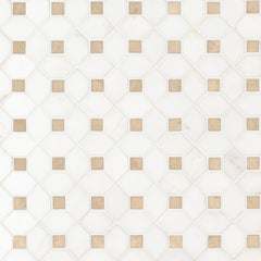 Marble Tile Collection Bianco Dolomite Crema Dotty Pattern Swatch