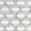Marble Tile Collection Bianco Dolomite Lynx Swatch