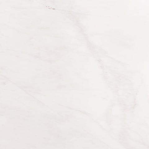 Marble Tile Collection Bianco Dolomite 12"x24" - Honed Swatch