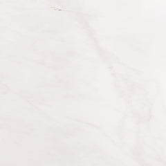 Marble Tile Collection Bianco Dolomite 12"x24" - Honed Swatch