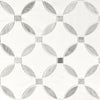 Marble Tile Collection Bianco Dolomite Lola Polished Swatch
