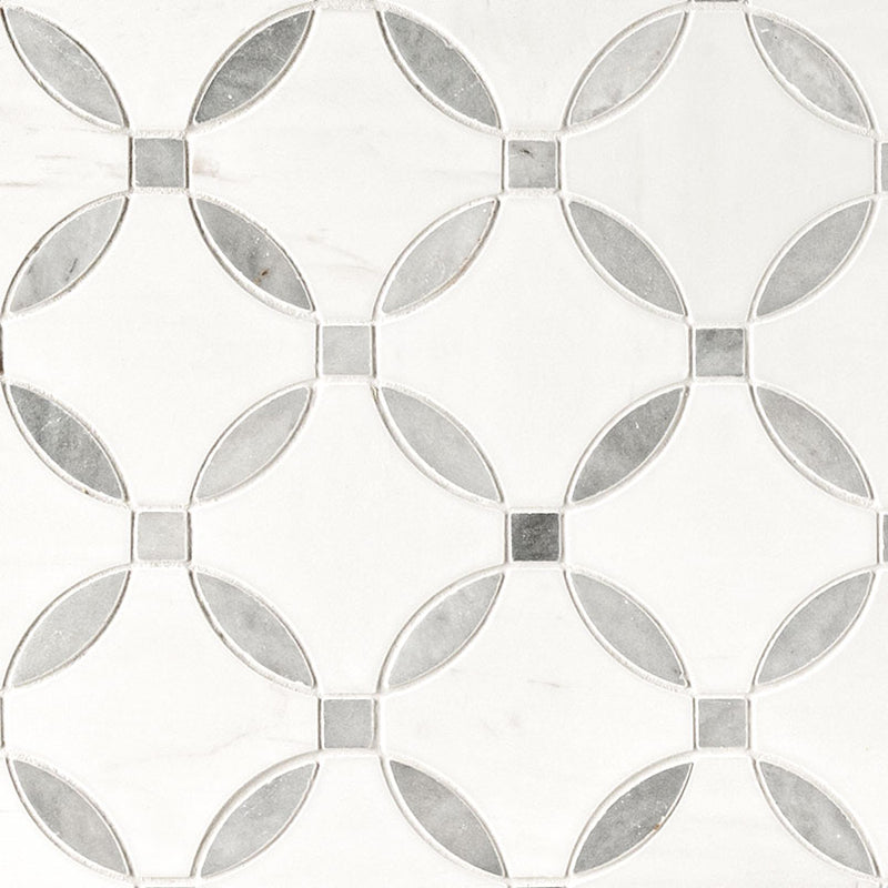 Marble Tile Collection Bianco Dolomite Lola Polished