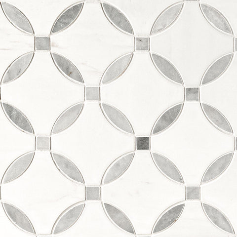 Marble Tile Collection Bianco Dolomite Lola Polished Swatch