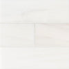Marble Tile Collection Bianco Dolomite Subway 4"x12" Swatch