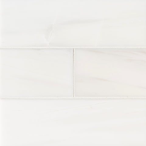 Marble Tile Collection Bianco Dolomite Subway 4"x12" Swatch