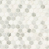 Marble Tile Collection Bianco Dolomite TIBI Swatch