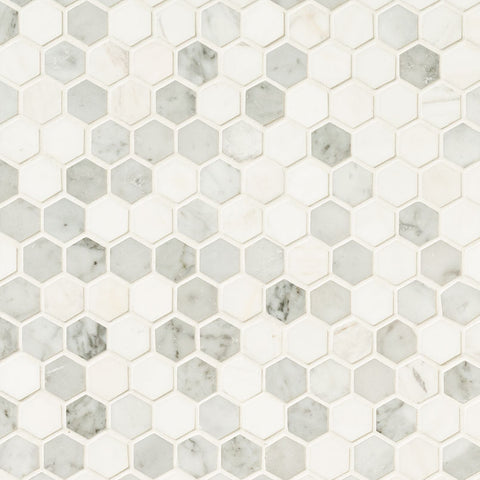 Marble Tile Collection Bianco Dolomite TIBI Swatch