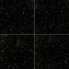 Granite Tile Collection Black Galaxy - 18"x18" Swatch