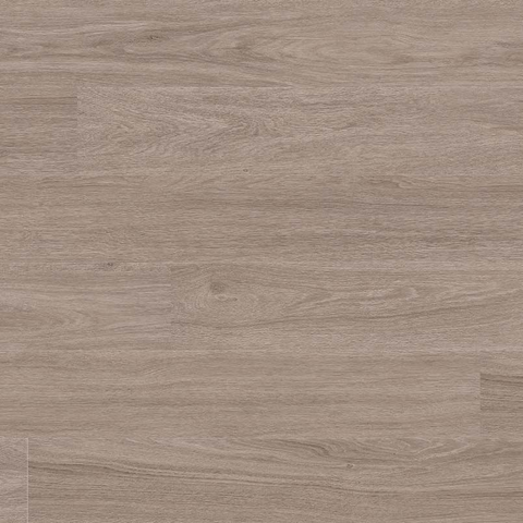 MSI Everlife Katavia Bleached Elm Swatch