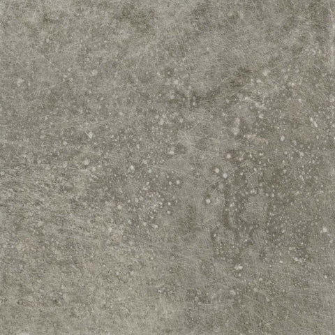 Paramount Tile Molo Audace Bocca Di Lupo 8" x 16"