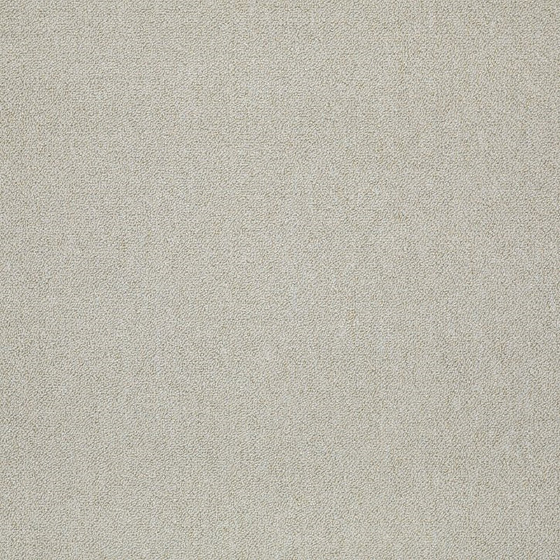 Shaw Carpet Tile Counterpart Body Double