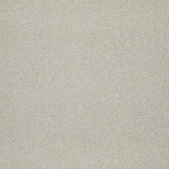 Shaw Carpet Tile Counterpart Body Double Swatch
