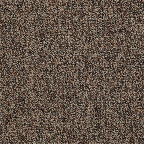 Shaw Carpet Tile No Limits Tile Border Swatch