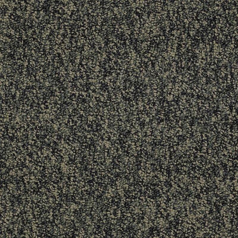 Shaw Carpet Tile No Limits Tile Boundless