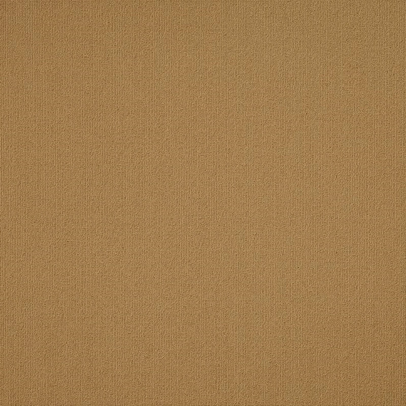 Shaw Carpet Tile Color Accents Brasserie