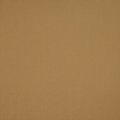 Shaw Carpet Tile Color Accents Brasserie Swatch