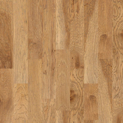 Shaw Sequoia 6 3/8" Bravo Swatch