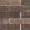 Daltile Brickwork Terrace BW05 2"x8" Swatch