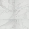 Daltile Perpetuo Satin 12"x24" Brilliant White