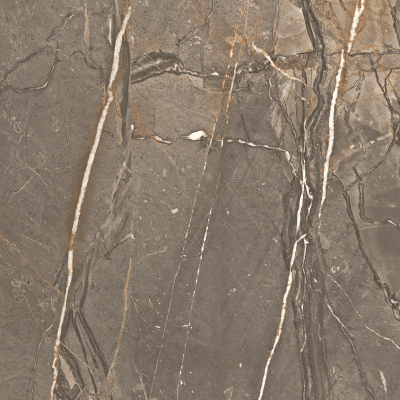 Paramount Tile Amaranto Brown Matte 24" x 48"