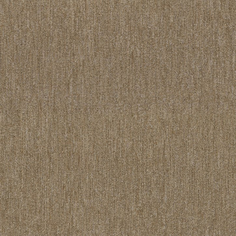 Shaw Carpet Tile Profusion Tile Bundle