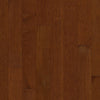 Shaw Coral Springs Burnside Swatch