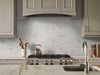 Pietra Porcelain Collection Calcatta Subway Tile - 2"x4" Room Scene