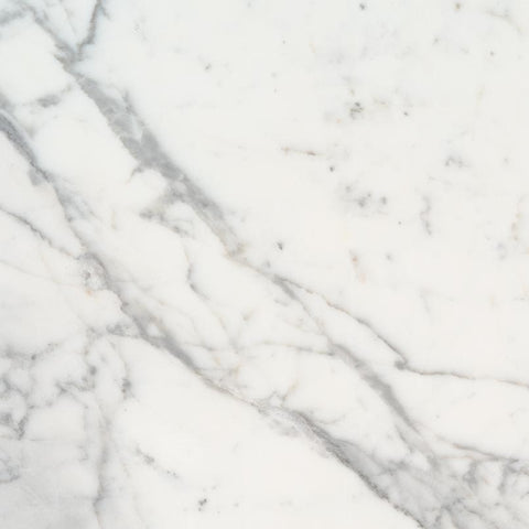 Marble Tile Collection Calacatta 12"x24" - Honed Swatch