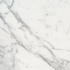Marble Tile Collection Calacatta 12"x12" - Polished Swatch