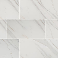Pietra Porcelain Collection Calcatta - 24"x24" Polished Swatch