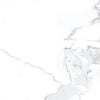 Virginia Tile Luxury 12x24 Tile Calacatta Rectified