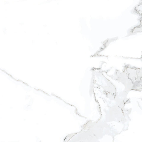 Tile Collection Luxury 24x48 Tile Calacatta Rectified Polished