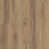Shaw Pantheon HD Plus Caldo Swatch