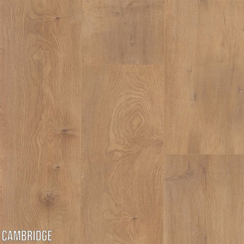 L.W. Mountain Main Street Cambridge Sample Swatch