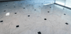 Marble Tile Collection Carrara White 12"x12" - Polished Room Scene