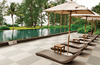 Optima Porcelain Tile Collection Olive Polished - 12"x24" - FloorLife