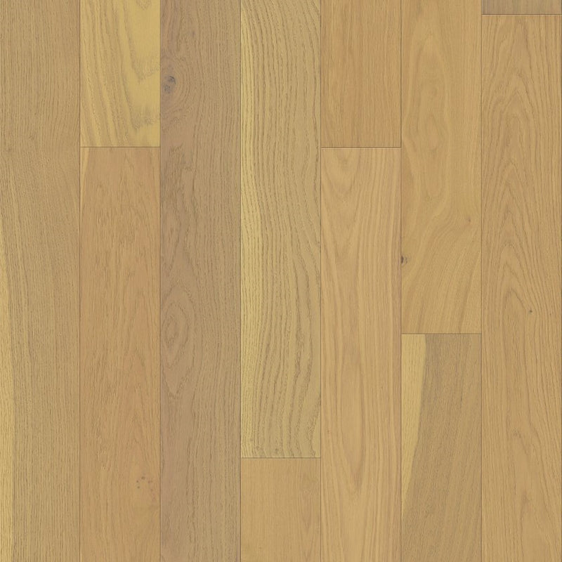 Shaw Empire Oak Carnegie