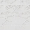 Pietra Porcelain Collection Carrara - 2"x4" Mosaic Polished swatch