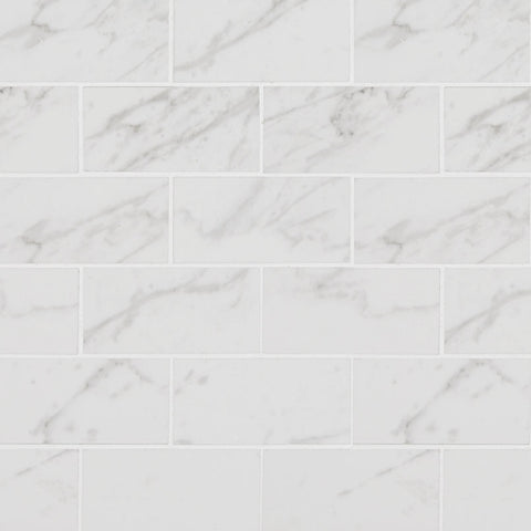 Pietra Porcelain Collection Carrara - 2"x4" Mosaic Polished swatch