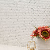 MSI Domino Carrara Matte Penny Round Mosaic Porcelain Tile Room Scene