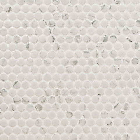 MSI Domino Carrara Matte Penny Round Mosaic Porcelain Tile Swatch