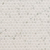 MSI Domino Carrara Matte Penny Round Mosaic Porcelain Tile Swatch