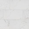Pietra Porcelain Collection Carrara - 12"x24" Polished Swatch