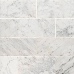 Marble Tile Collection Carrara White 3"x6" Honed Swatch