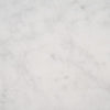 Marble Tile Collection Carrara White 18"x18" - Polished Swatch