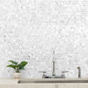 Marble Tile Collection Carrara White Round - Honed Room Scene
