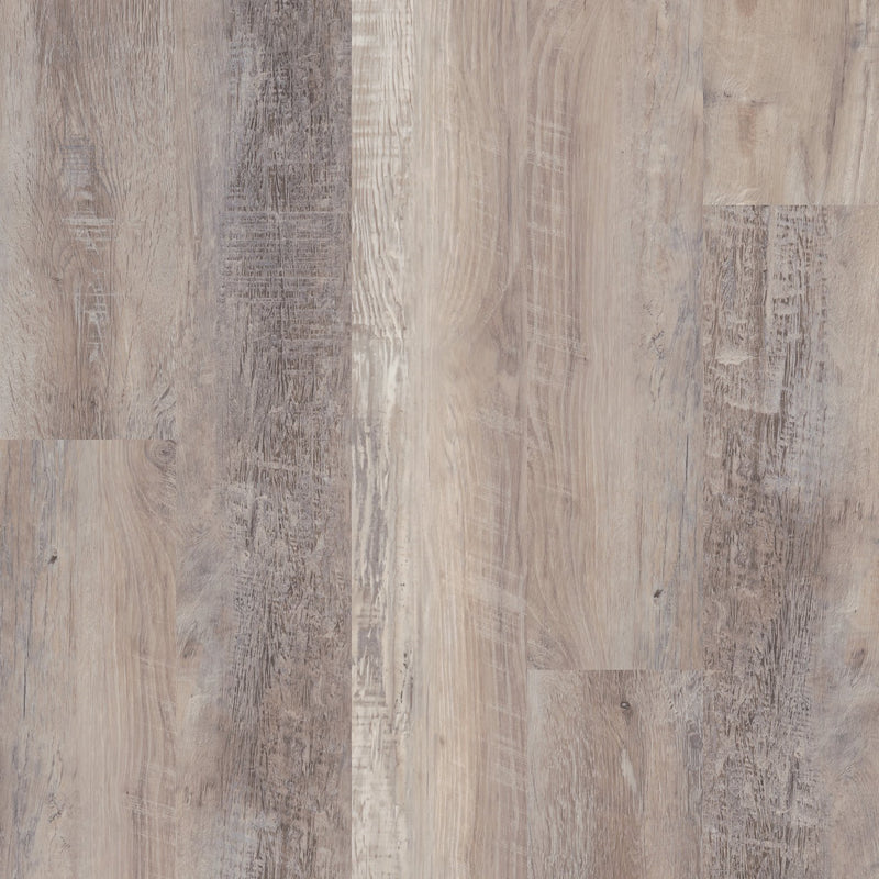 COREtec One Plus Caspian Oak