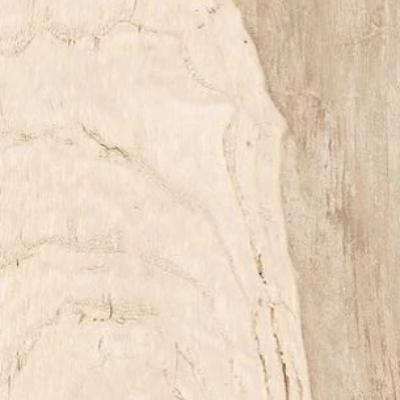 Paramount Tile Backwoods Country Oak 6