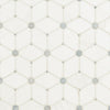 Marble Tile Collection Bianco Dolomite Cecily Grigio Swatch